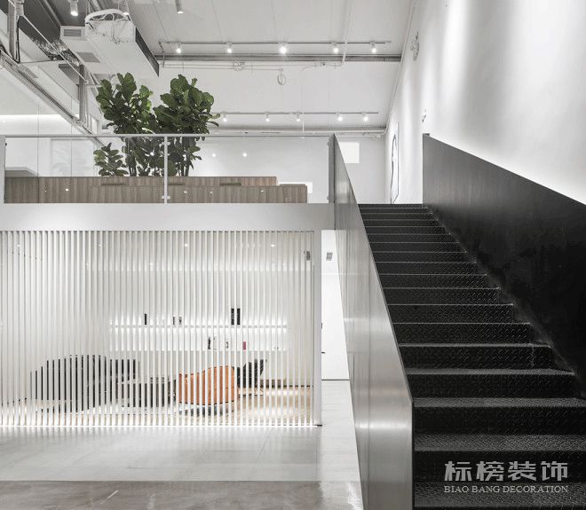 办公室植物摆放植物有哪些，怎么摆放比较好？